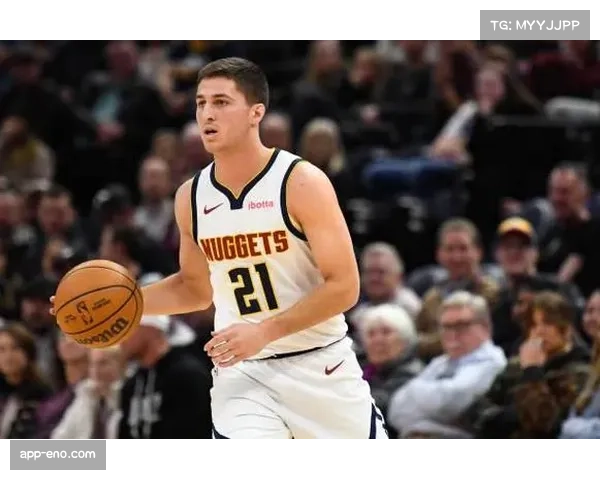 大卫罗迪与掘金签双向合同 身体对抗成锋线轮换补充选项